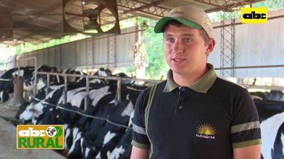Abc Rural: Tambo y cabaña Bergen de alta producción - ABC Rural - ABC Color