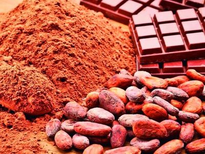 Chocolate,  placer y mucho beneficio