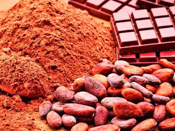 Chocolate, placer y mucho beneficio