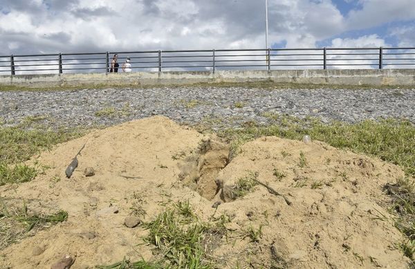 Destruyen el hábitat de lechuzas en la Costanera - Nacionales - ABC Color