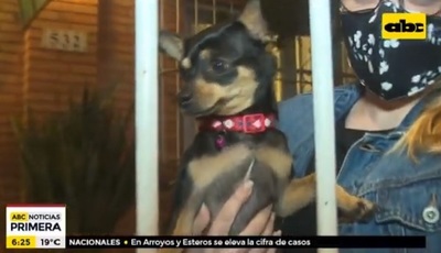 Devuelven a perrita robada de una vivienda en Asunción