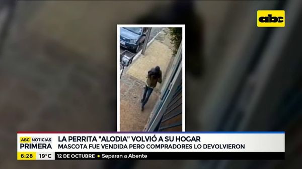 La perrita “Alodia” volvió a su hogar - ABC Noticias - ABC Color