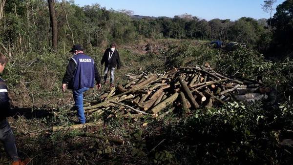 INTERVENCIÓN DEL MADES ANTE UN HECHO DE DESMONTE EN CAMBYRETÁ