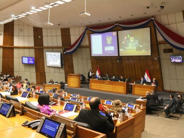 Con restricciones, Diputados sigue sus actividades