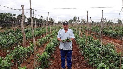 Gobierno presta dinero a pequeños productores con bolsillos golpeados por la pandemia - La Mira Digital