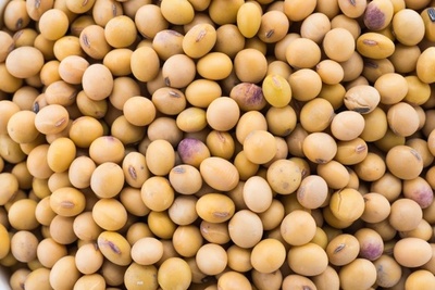 USDA marcó caída de 30 millones de toneladas en la producción mundial de granos