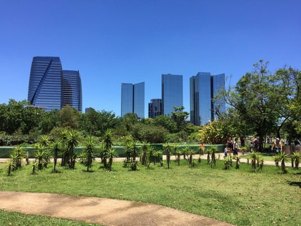 Sao Paulo reabre parques y gimnasios con señales de estabilización de COVID-19