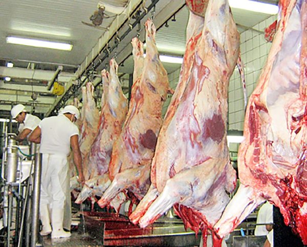 Industria cárnica retoma ritmo de envíos con Israel