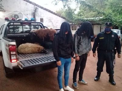 Detienen a jóvenes por robo de ovejas a un comisario - Nacionales - ABC Color