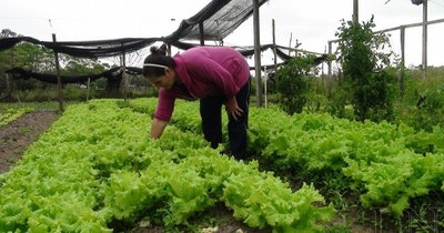 Registran resultados positivos en la producción del campo