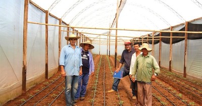 IFC apoya al sector agrícola de Paraguay durante la pandemia