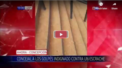 Así se agarraron concejales de Concepción