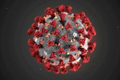 Los casos del virus en todo el mundo superan los 13,14 millones y las muertes alcanzan las 571.854