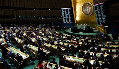 Expertas de la ONU piden acción urgente contra la "pandemia de violencia de género" » Ñanduti