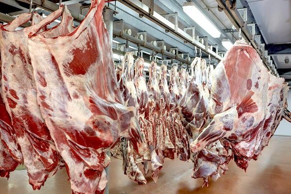 Paraguay vuelve a exportar carne a Arabia Saudita – Diario TNPRESS