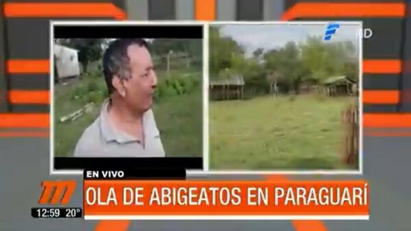 Abigeato campea en Paraguarí y desespera a ganaderos