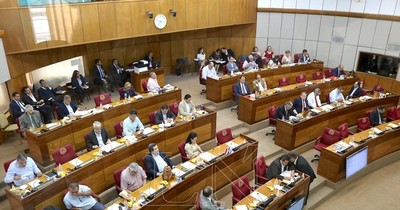 Opositores a la política de endeudamiento de Abdo, en puestos clave en el Senado