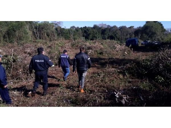 Constatan la tala indiscriminada de árboles nativos en Cambyretá