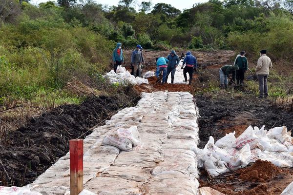 Geobolsas serían retiradas rápidamente si es necesario - Nacionales - ABC Color