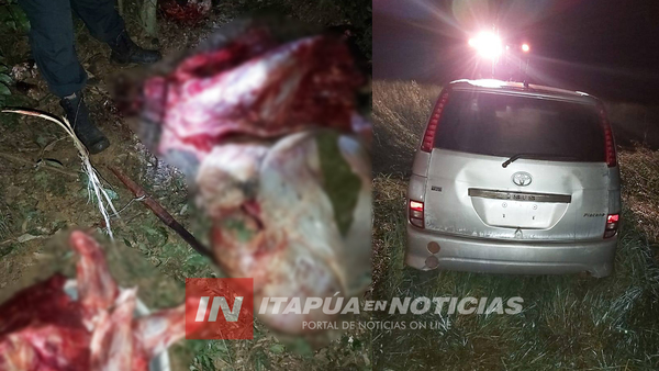 POLICIAS SORPRENDEN A ABIGEOS, ESTOS HUYEN DEJANDO LA CARNE Y UN VEHÍCULO.