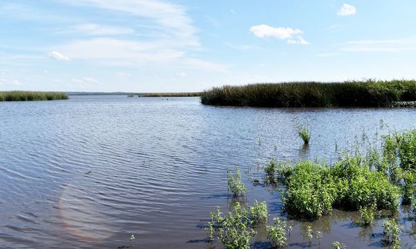 Lago Ypacaraí: Concejal de San Bernardino pidió solución definitiva y afirmó que no quieren que proyecto genere efectos negativos en la naturaleza - La Primera Mañana - ABC Color