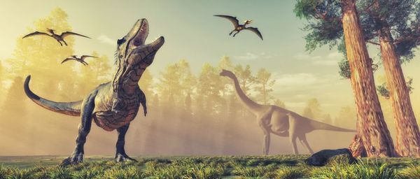 La vida solo tardó 700.000 años en recuperarse tras el fin de los dinosaurios - Ciencia - ABC Color