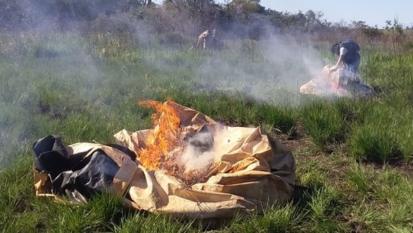 Senad destruye campamento narco en una estancia de Alto Paraná - Noticde.com