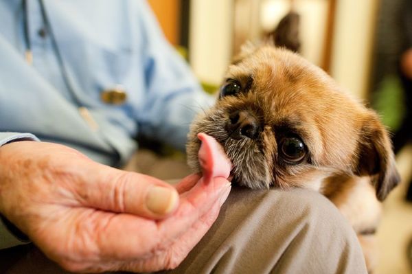 Hacienda espera sumar 10.000 personas más a pensiones de adultos mayores - Nacionales - ABC Color