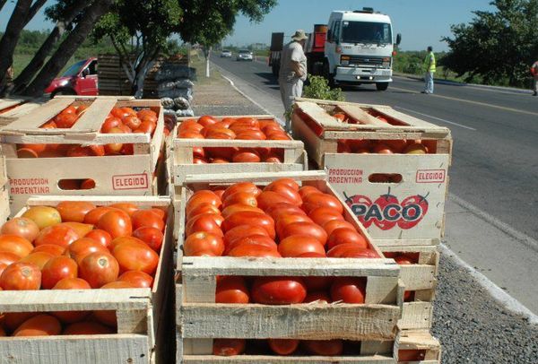 MAG no recomienda el ingreso de tomates provenientes del exterior