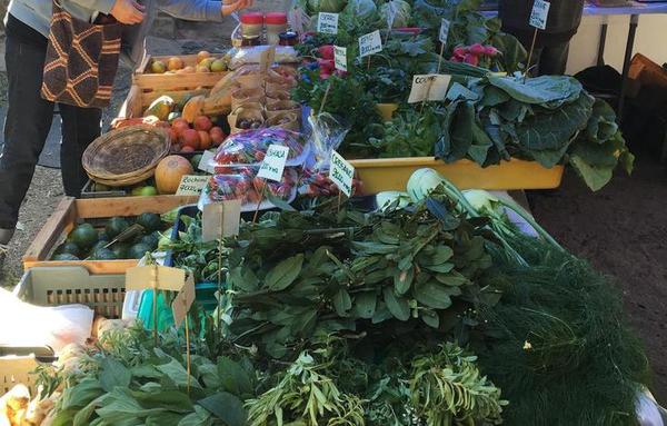 Vuelve la Feria Agroecológica a la Plaza Italia