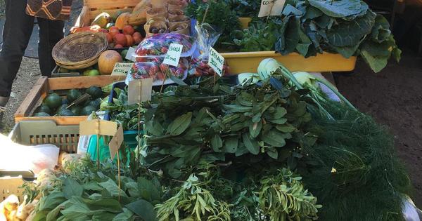Vuelve la Feria Agroecológica a la Plaza Italia