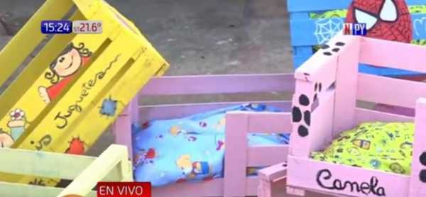 Vende camitas para mascotas con el fin de costear medicamentos de su hija | Noticias Paraguay