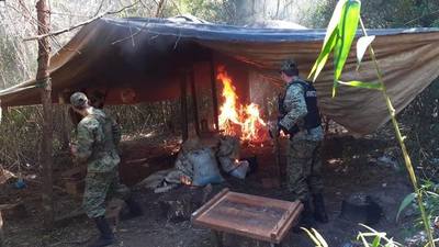 Destruyen una tonelada de marihuana en el distrito de Yhú » Ñanduti