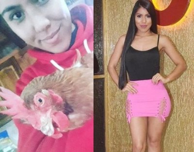 Duerme con su ¡gallinita! | Crónica