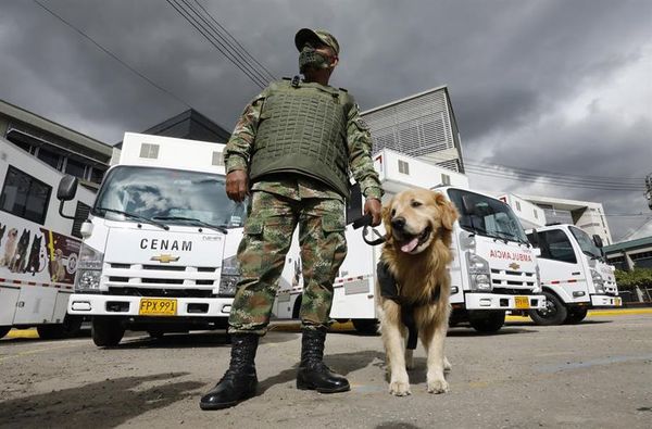 Donan ambulancias para perros participan en desminado en Colombia - Mascotas - ABC Color