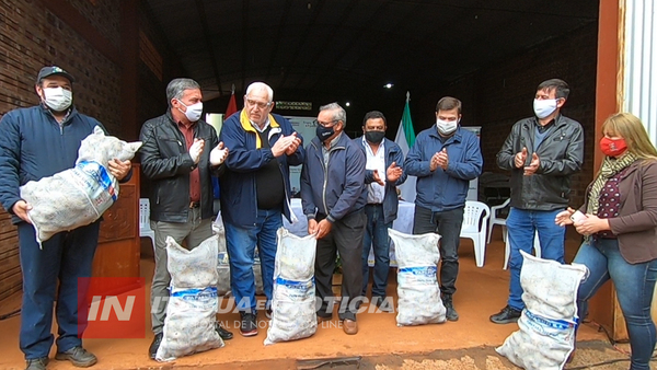 LANZAN PROGRAMA DE PRODUCCIÓN DE PAPA EN ITAPÚA.