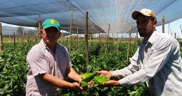 Unas 45 familias de Itapúa fueron asistidas con créditos por G. 200 millones