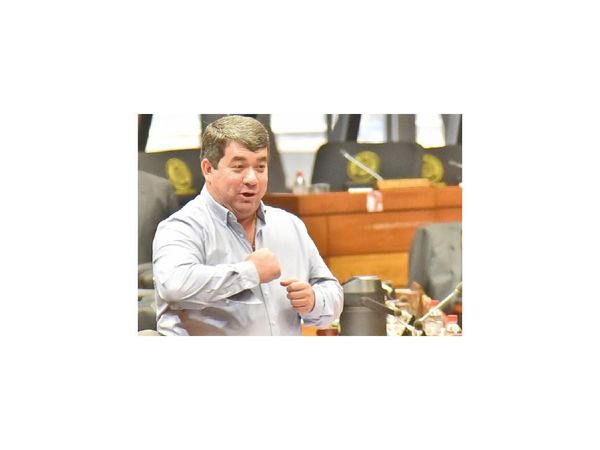 Tras señales de quiebre, reafirman que la fuerza de Abdo está en Diputados