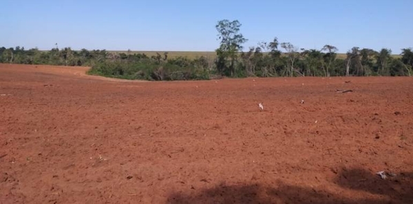 HOY / Intervienen propiedad por desmonte de 160 hectáreas en Canindeyú