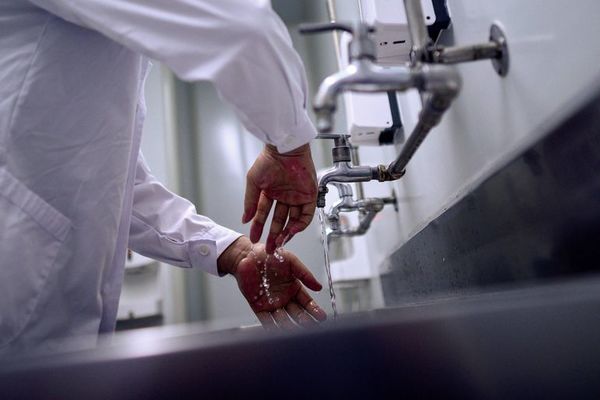 “Es igual de efectivo el lavado de manos y la desinfección con alcohol en gel”, dicen desde Sociedad Paraguaya de Infectología - A La Gran 7-30 - ABC Color