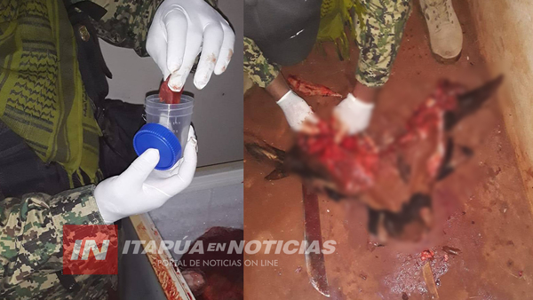 POLICÍA IMPLICADO EN HECHO DE ABIGEATO CON PRISIÓN DOMICILIARIA.