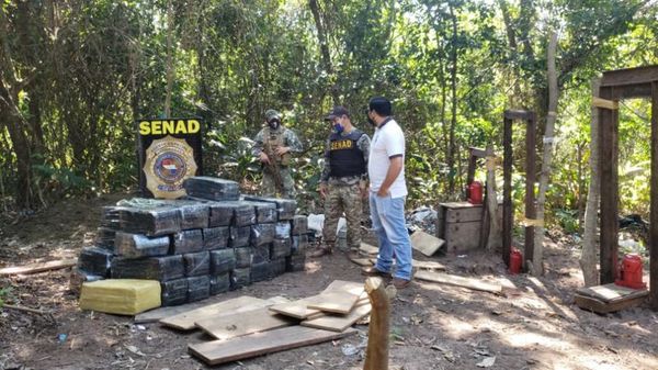Senad incauta 2.000 kilos de marihuana en Yby Pytã - Nacionales - ABC Color