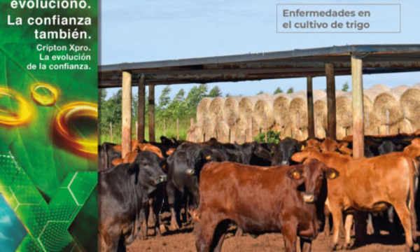 » Escenario difícil más allá de la pandemia