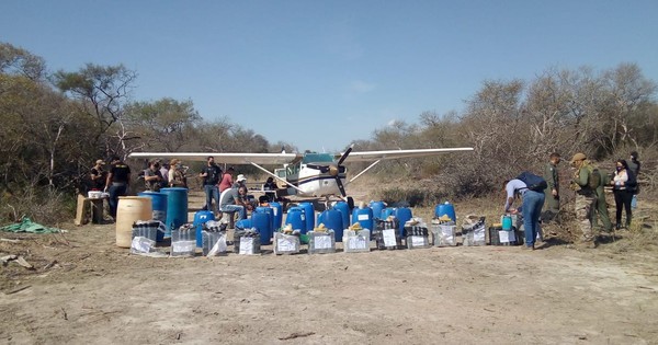 En megaoperativo, la Senad incauta cocaína que equivale a 3 millones de dólares