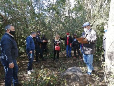 Convocan a indagatoria a sospechoso de tala ilegal en el Ybytyruzú  - Nacionales - ABC Color