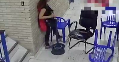 Piden tener en cuenta nuevos videos