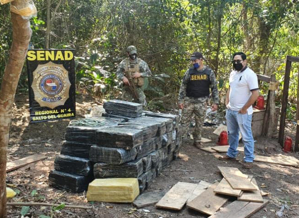 Salto del Guairá: confiscaron casi 2 toneladas de marihuana y destruyeron un campamento.