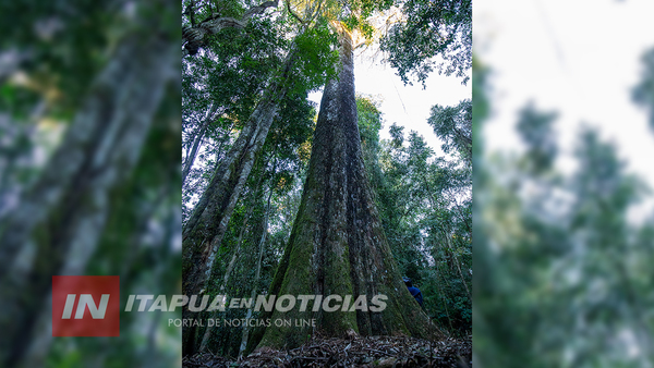 ITAPUA ES CONVOCADA EN EL CONCURSO «COLOSOS DE LA TIERRA»