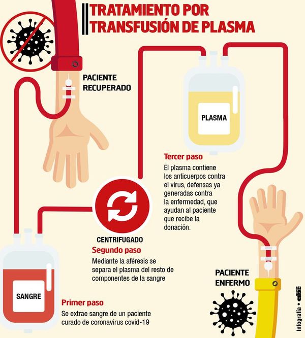 Tratamiento de plasma convaleciente: Donantes acuden voluntariamente, aseguran - Contacto Ciudadano - ABC Color