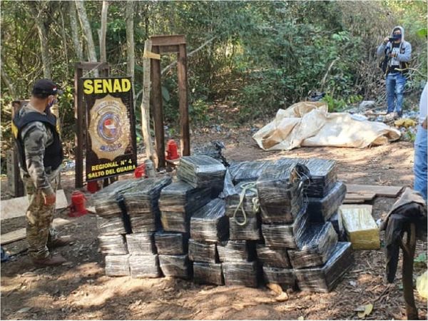 Senad decomisa casi 2 toneladas de marihuana en Canindeyú